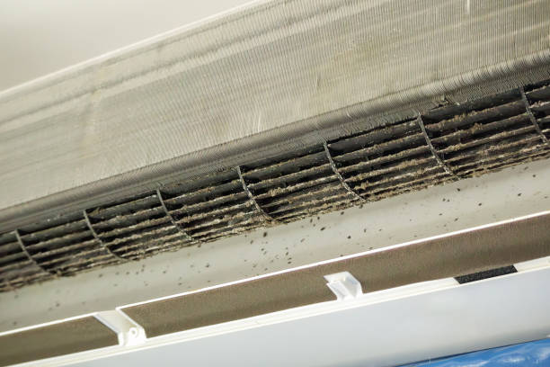 Best Commercial Air Duct Cleaning in Wyncote, PA